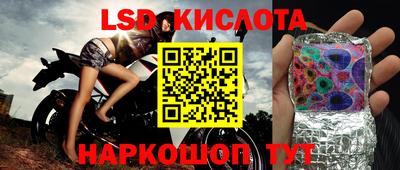 spice Кингисепп