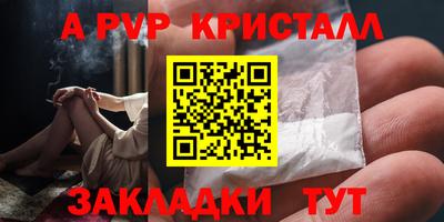 spice Кингисепп