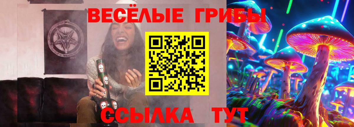Галлюциногенные грибы Magic Shrooms Красноярск